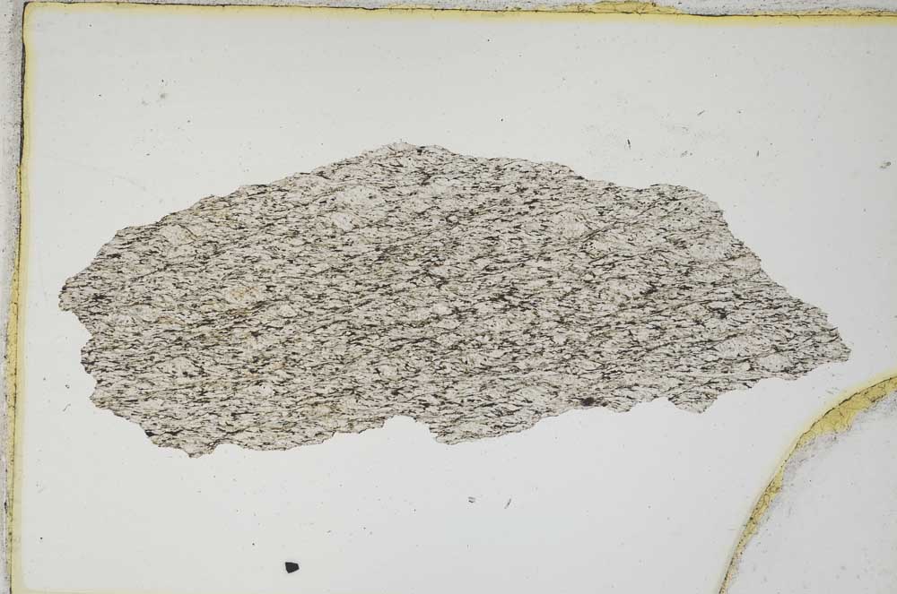 Plane Polarized, S8314