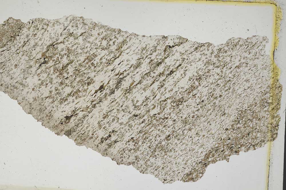 Plane Polarized, S8317