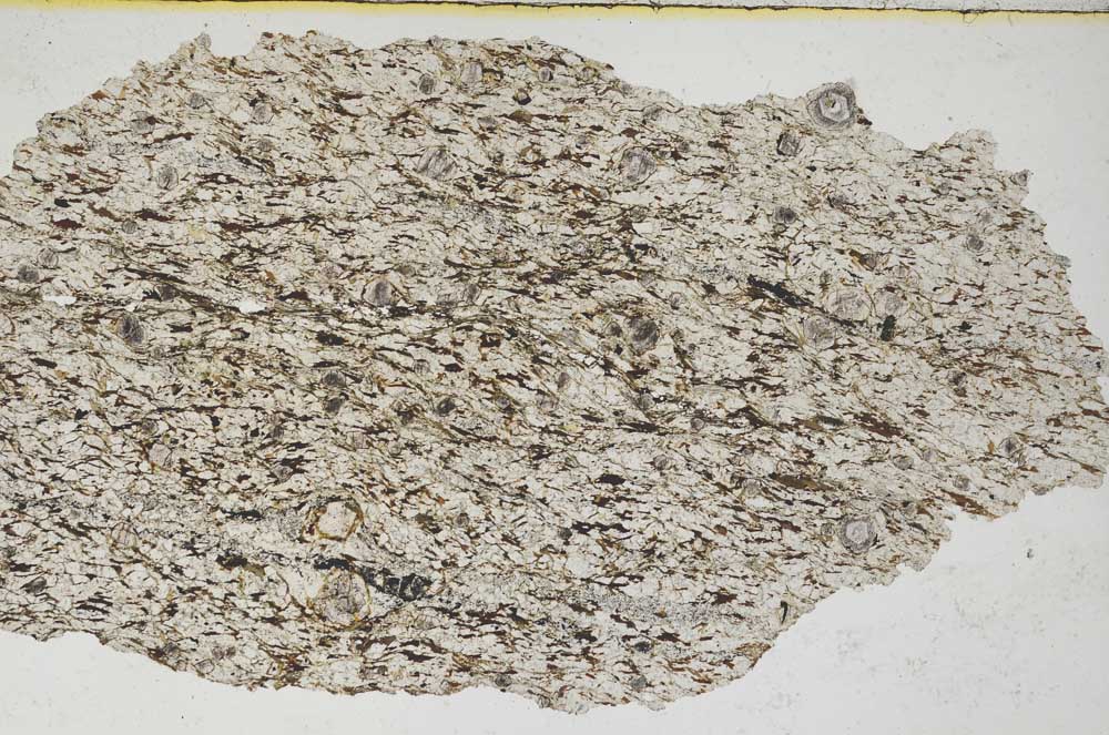 Plane Polarized, S8319