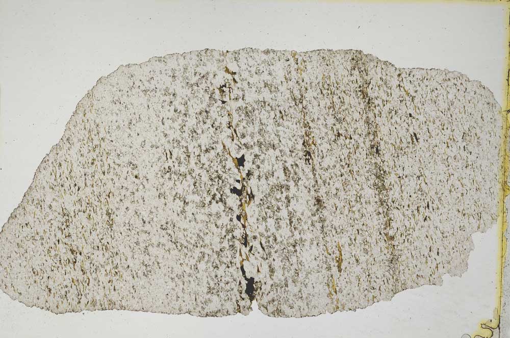 Plane Polarized, S8320