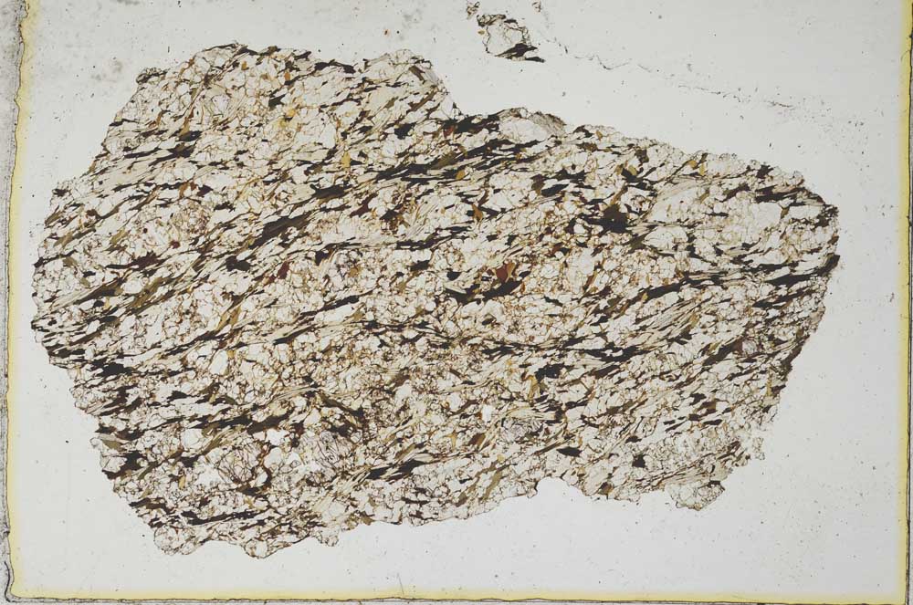 Plane Polarized, S8321