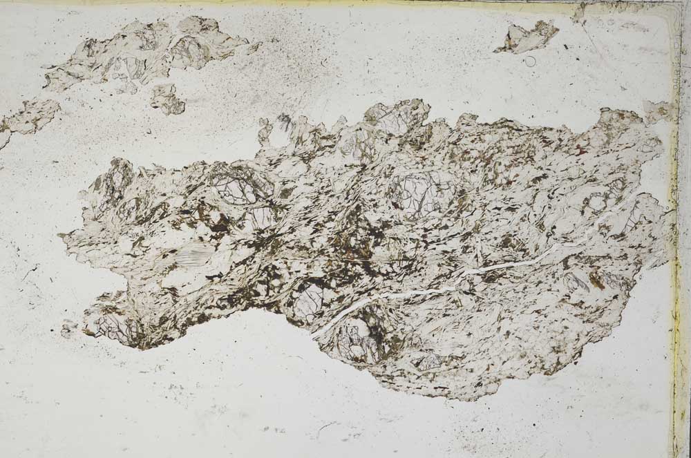 Plane Polarized, S8322