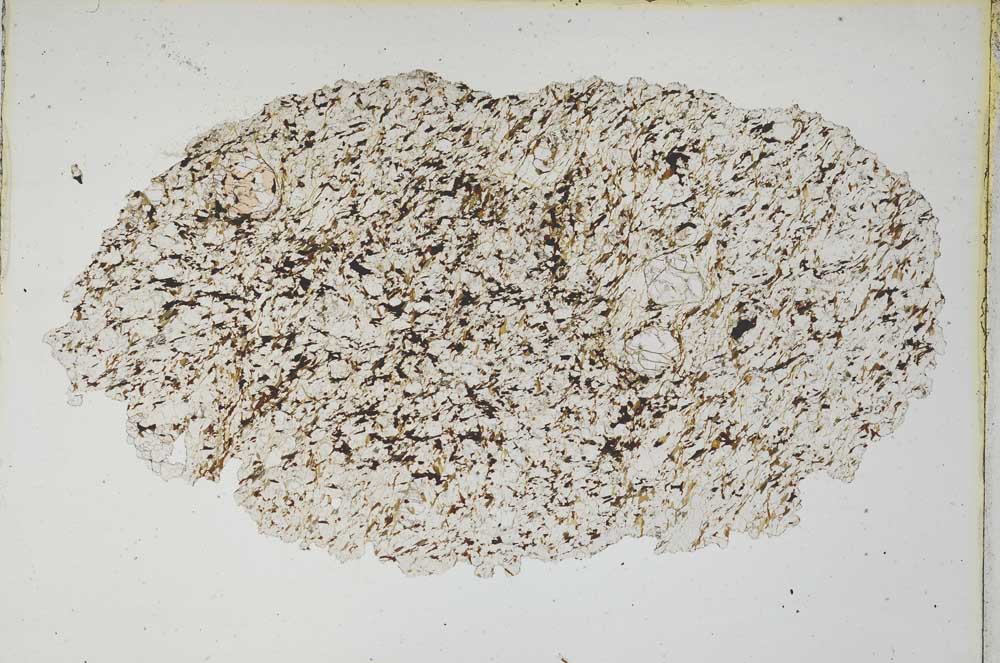 Plane Polarized, S8323