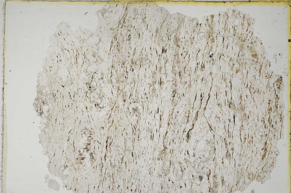 Plane Polarized, S8326