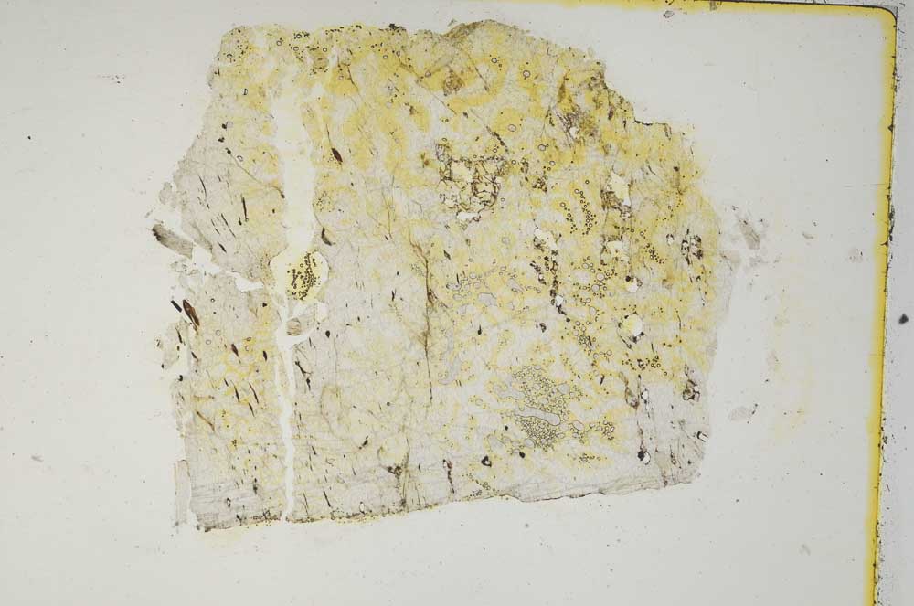 Plane Polarized, S8328