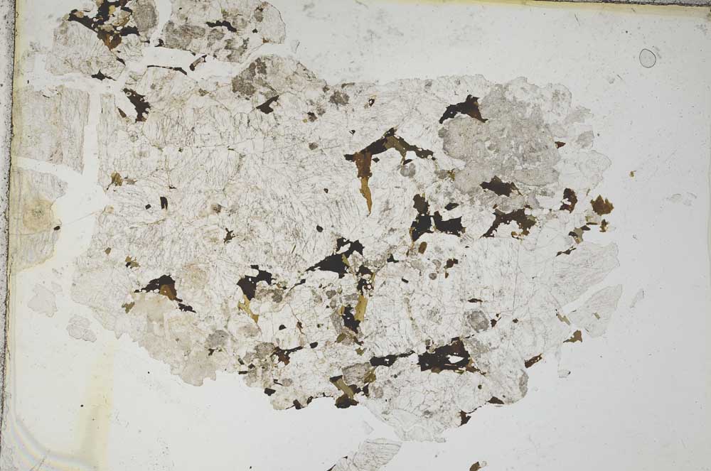 Plane Polarized, S8329