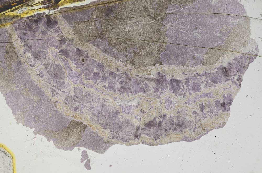 Plane Polarized, S8361