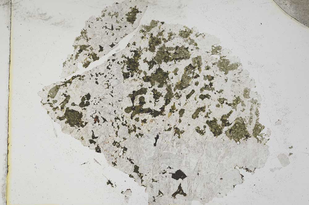 Plane Polarized, S8366