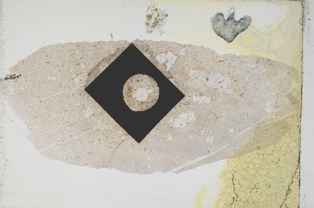 Plane Polarized, S8369