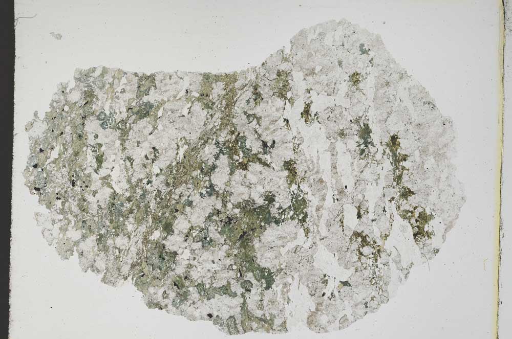 Plane Polarized, S8371
