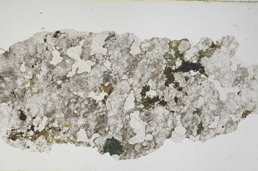 Plane Polarized, S8372