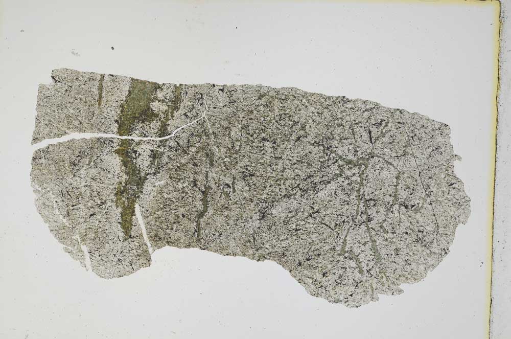 Plane Polarized, S8375