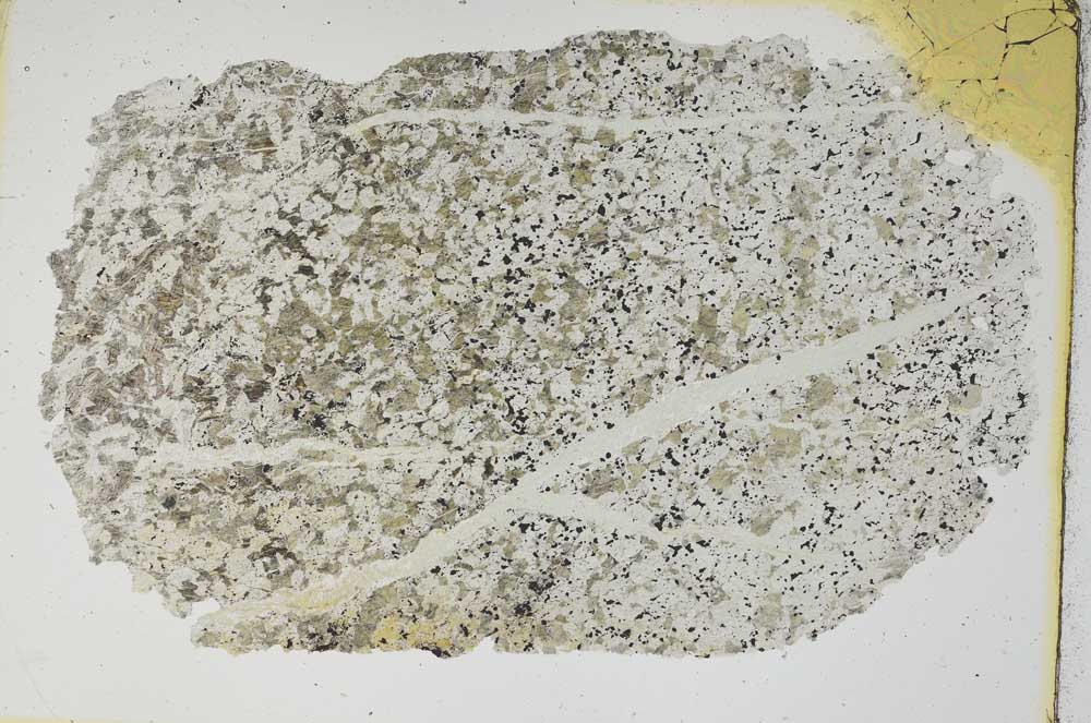 Plane Polarized, S8381