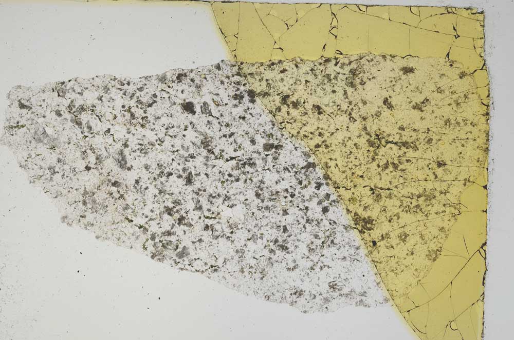 Plane Polarized, S8386