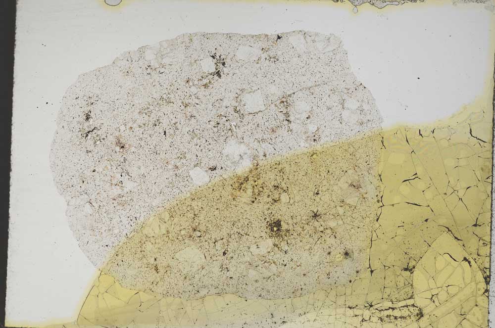 Plane Polarized, S8393