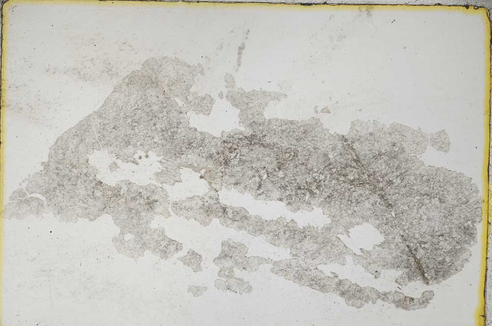Plane Polarized, S8432
