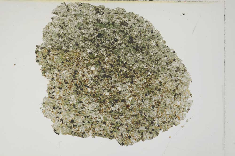 Plane Polarized, S8445