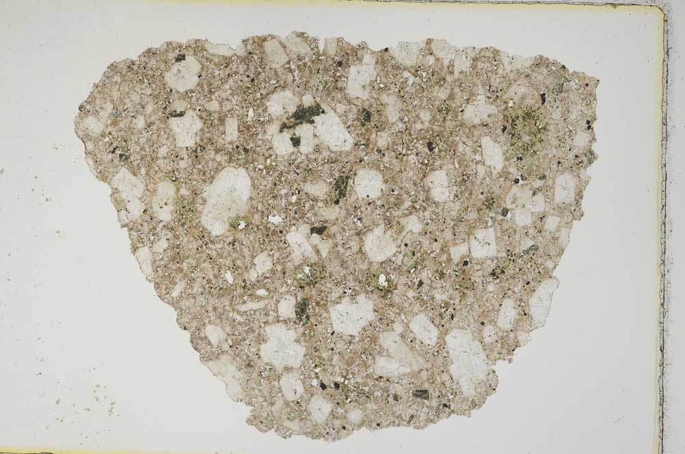 Plane Polarized, S8446