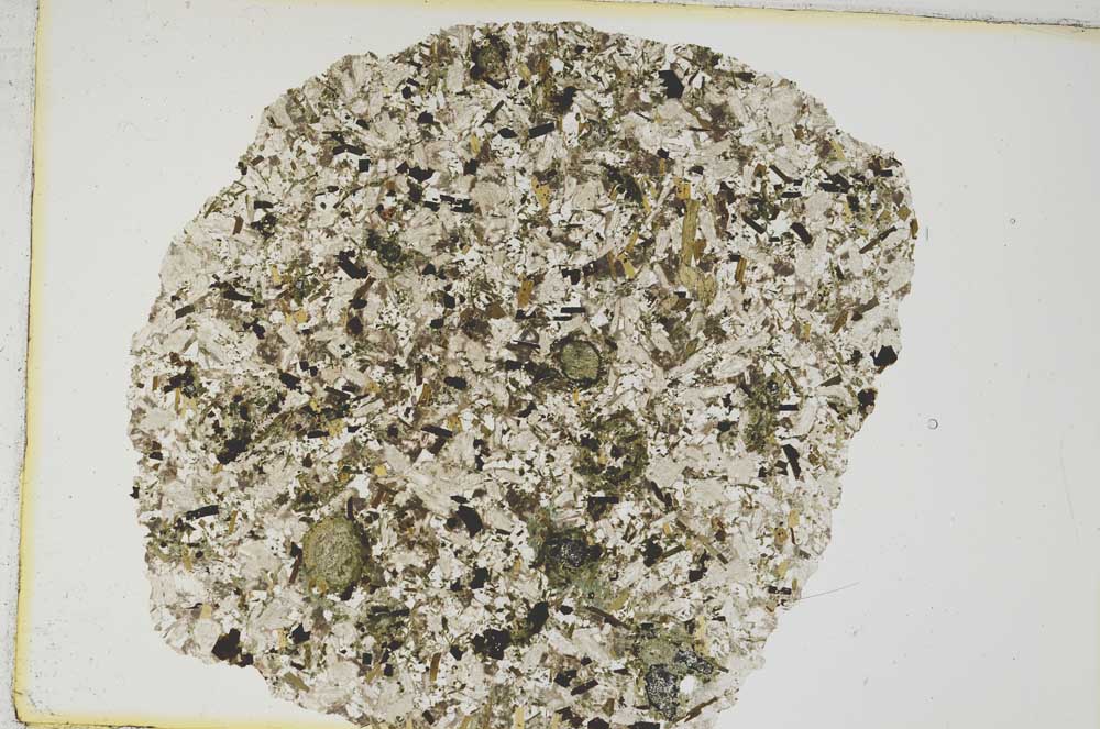 Plane Polarized, S8455