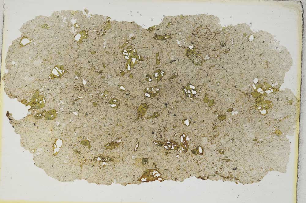 Plane Polarized, S8458