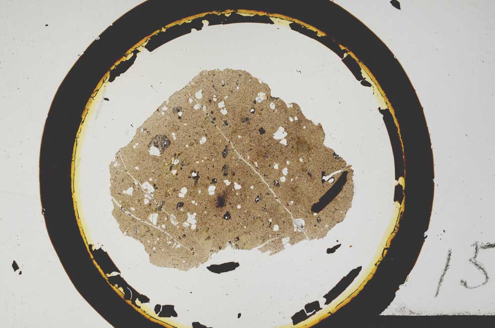 Plane Polarized, S15