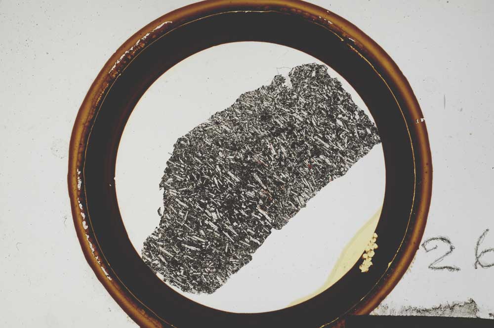 Plane Polarized, S26