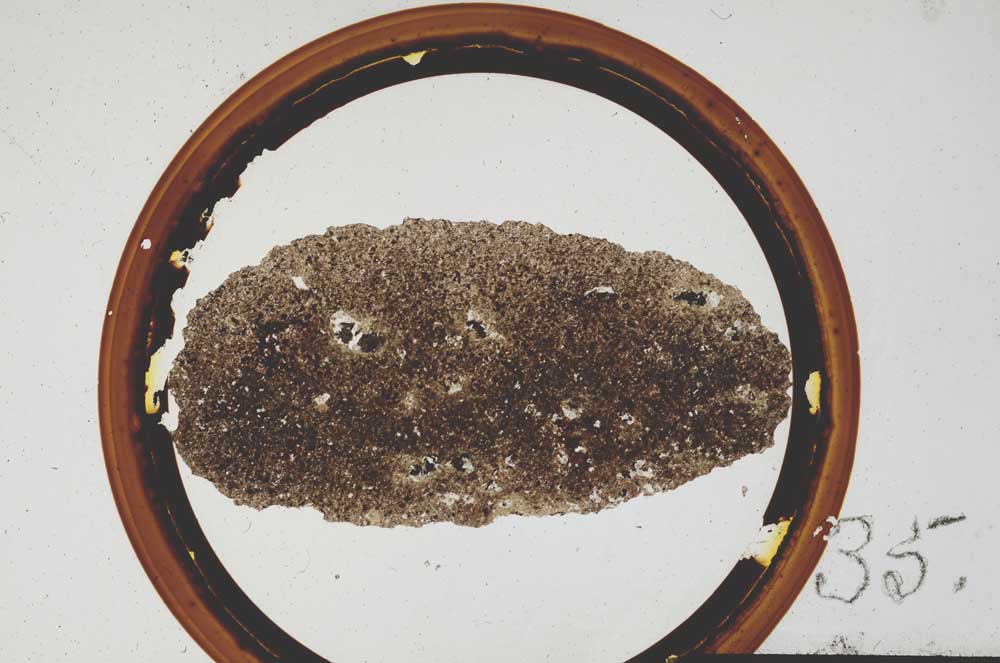 Plane Polarized, S35