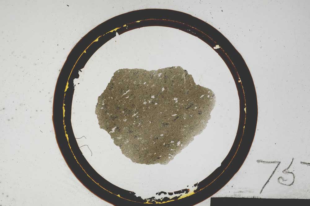 Plane Polarized, S75