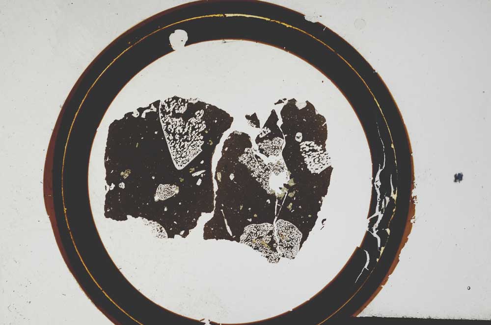 Plane Polarized, S108