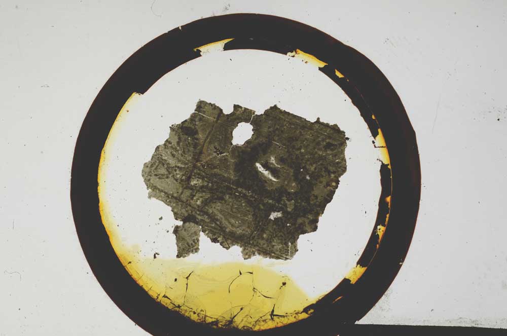 Plane Polarized, S111