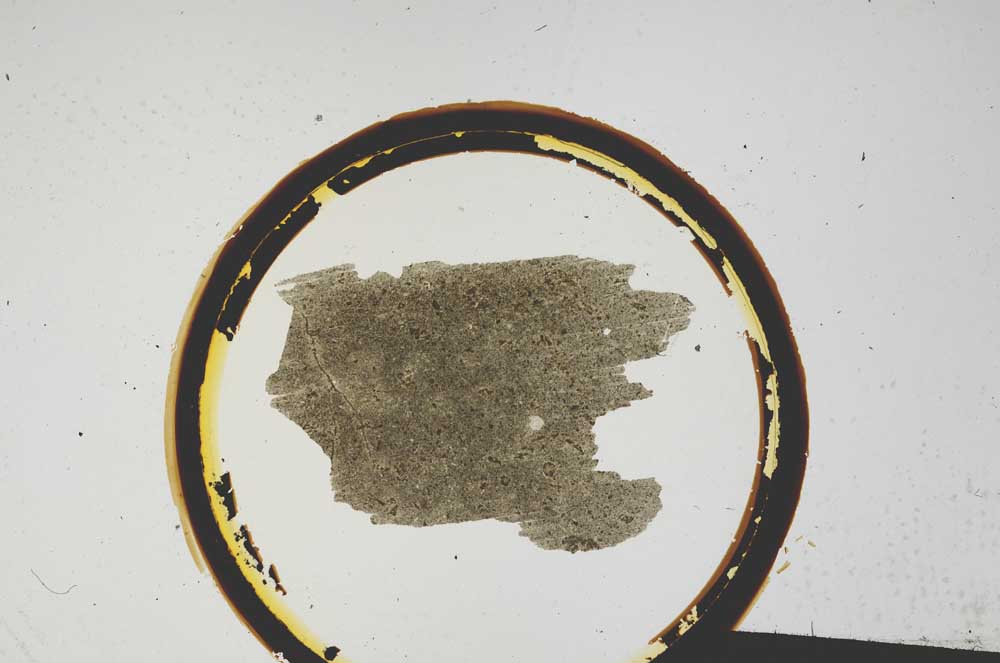 Plane Polarized, S116