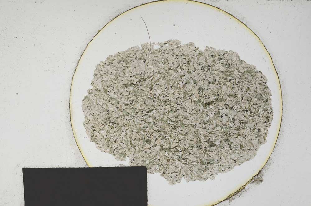 Plane Polarized, S169