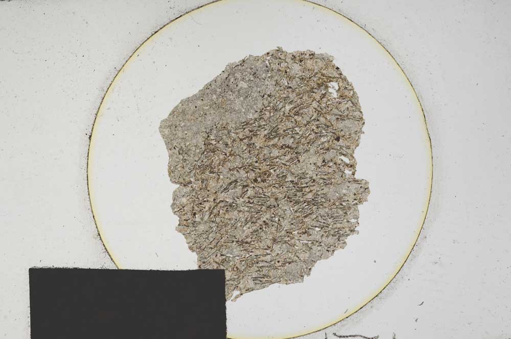 Plane Polarized, S170