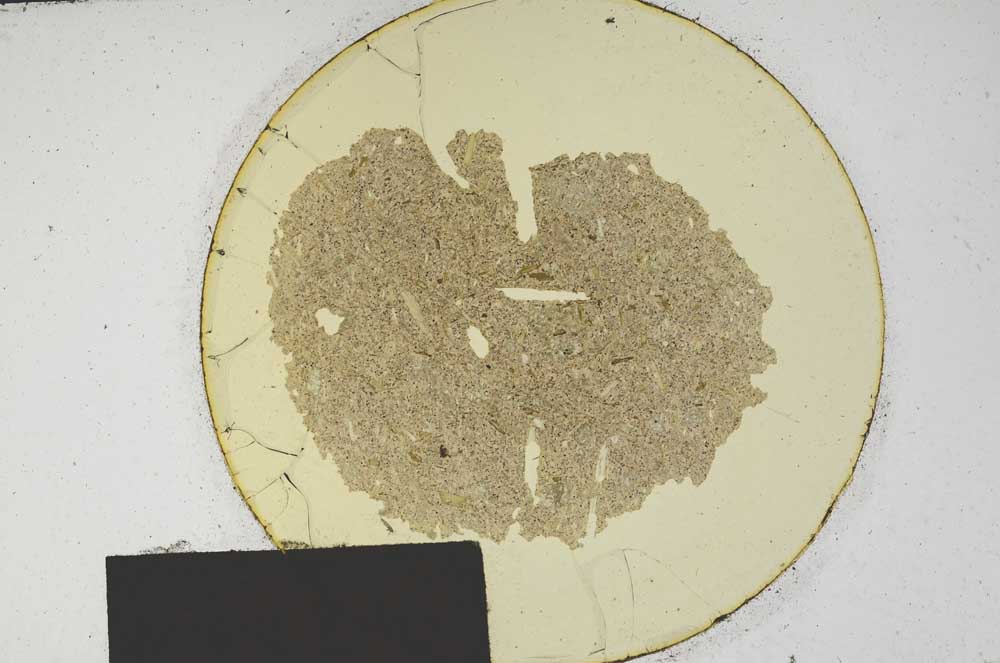 Plane Polarized, S171