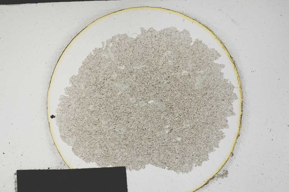 Plane Polarized, S180