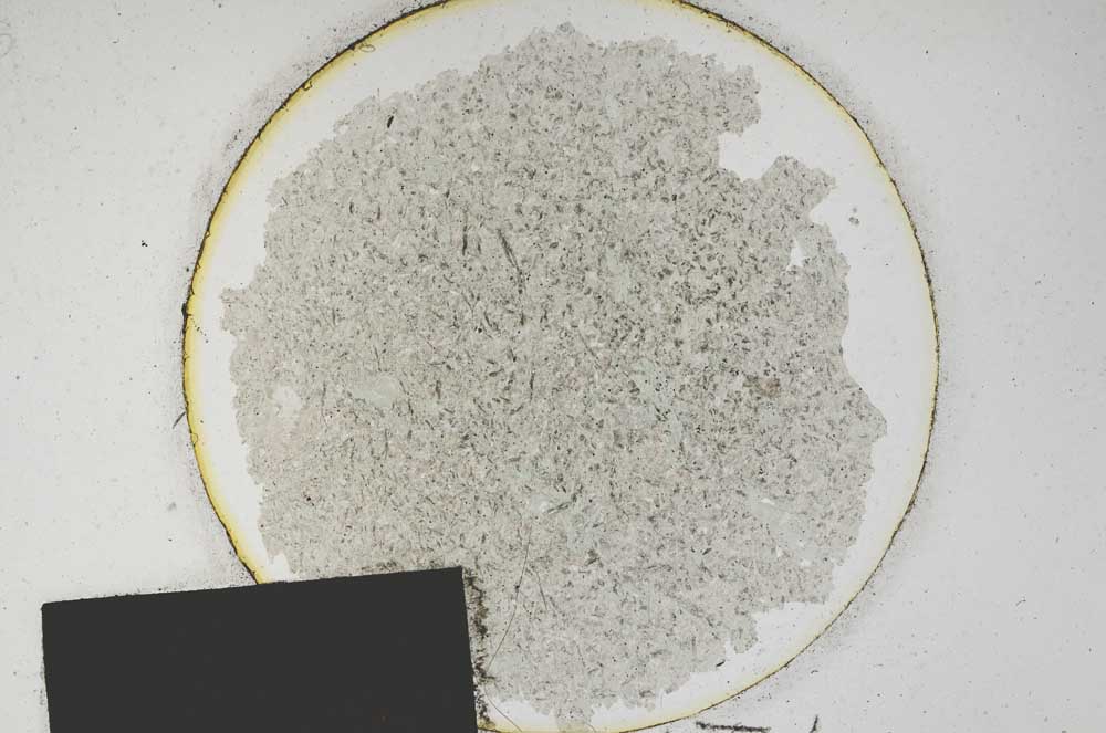 Plane Polarized, S174