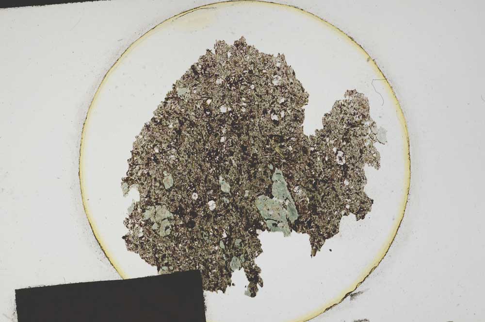 Plane Polarized, S175