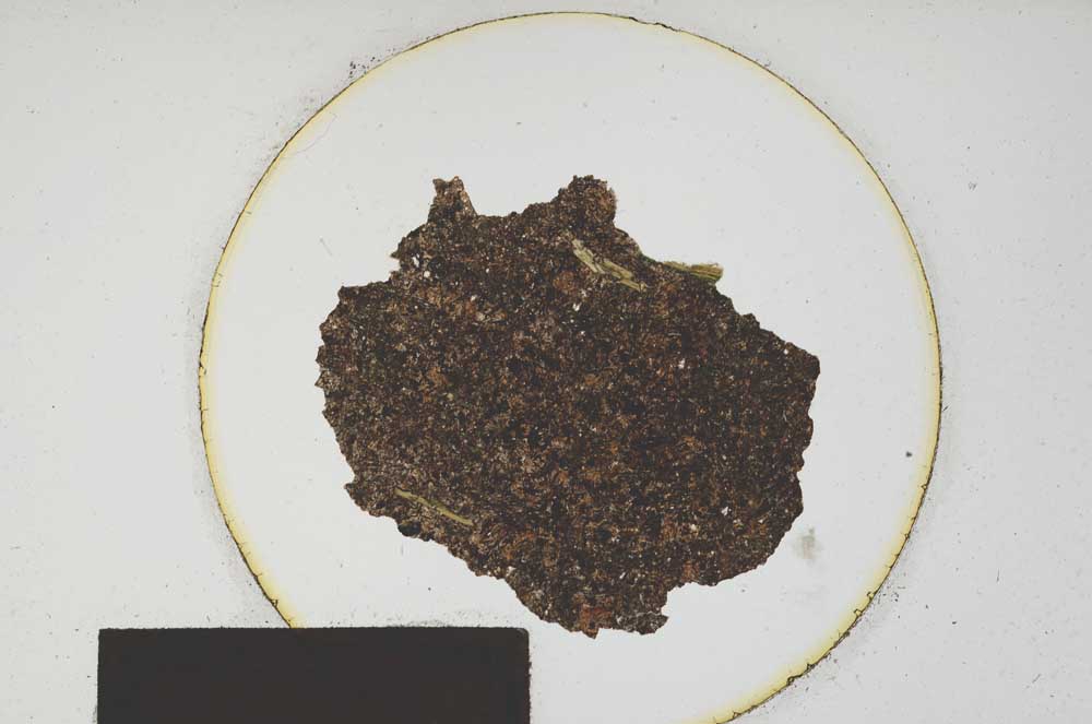 Plane Polarized, S176