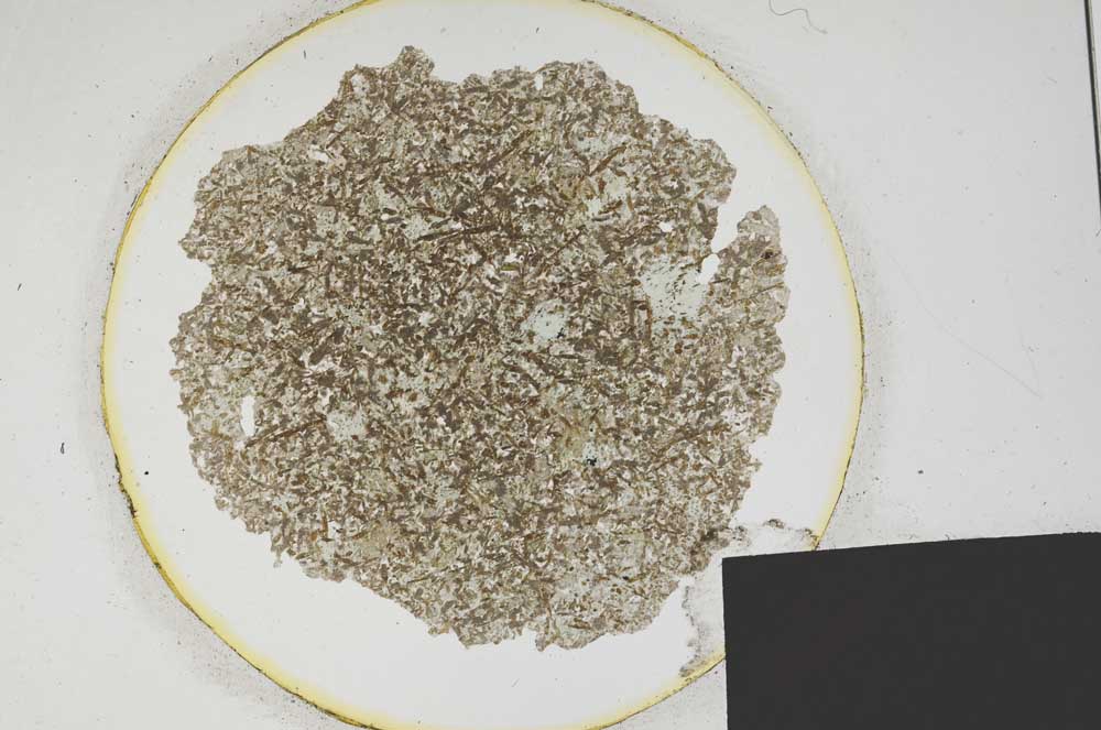 Plane Polarized, S194