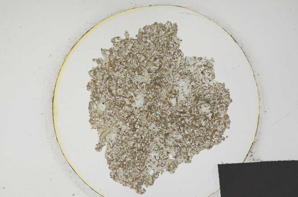 Plane Polarized, S194/A