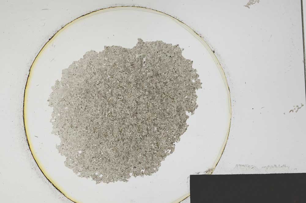 Plane Polarized, S195