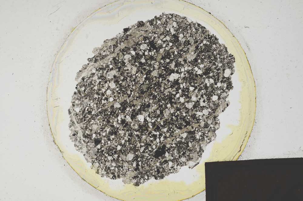 Plane Polarized, S198