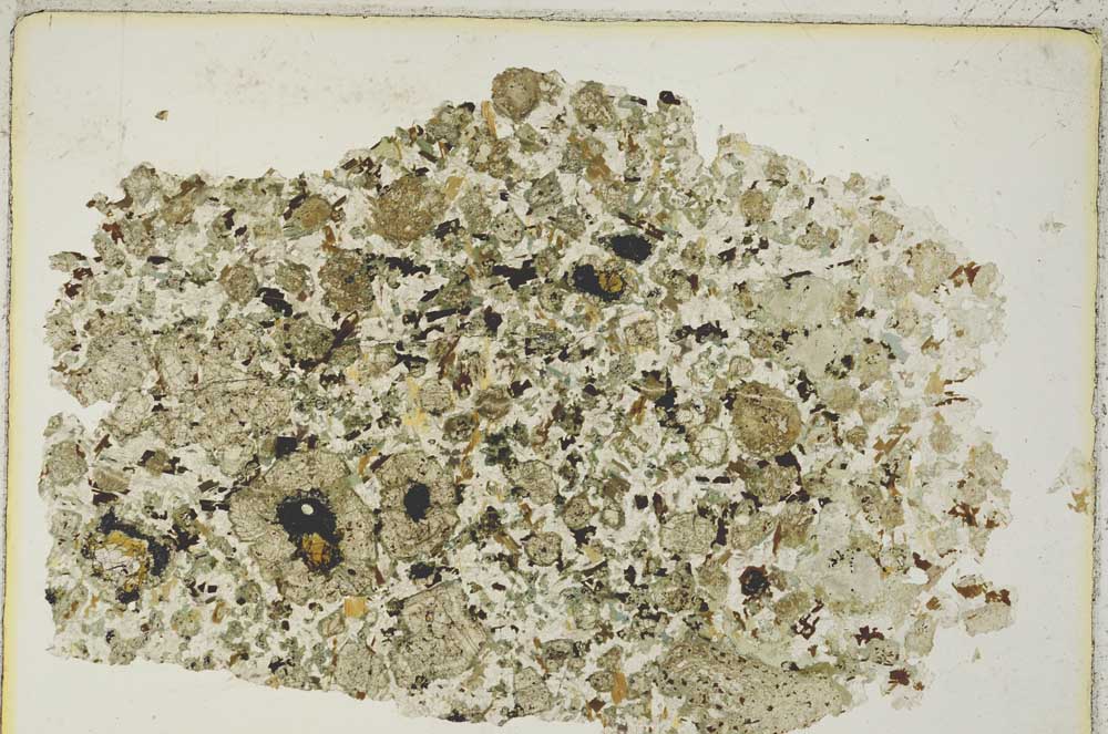 Plane Polarized, S8461