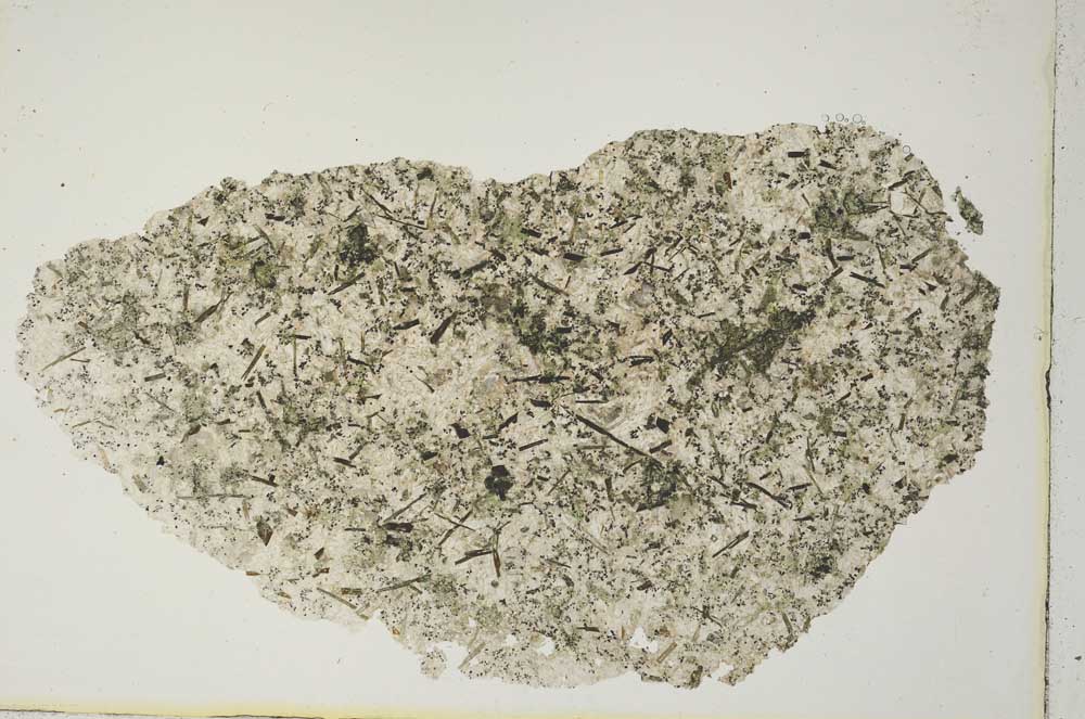 Plane Polarized, S8465