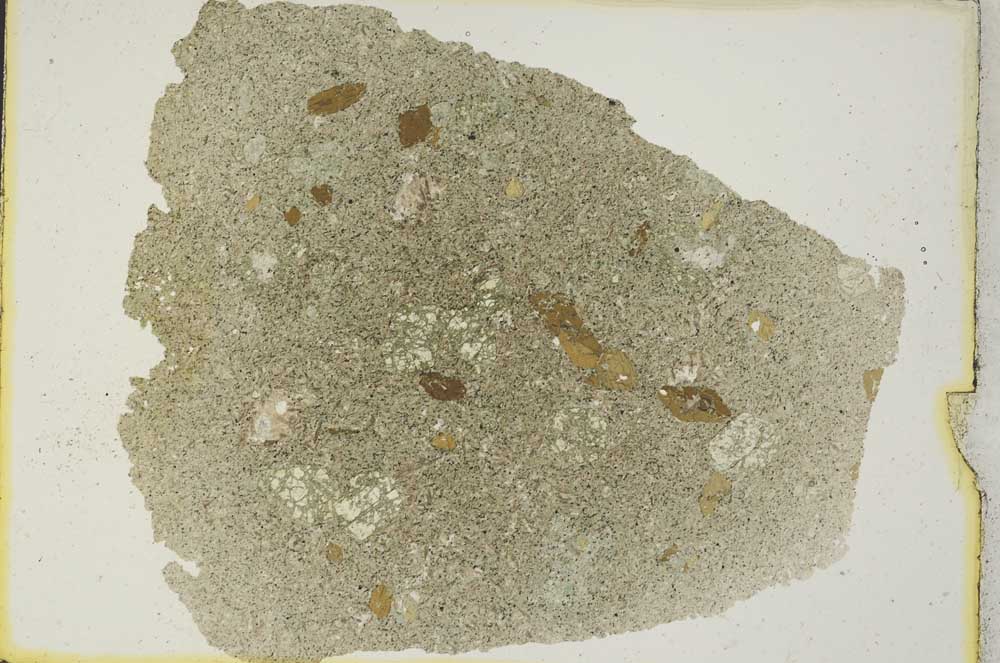 Plane Polarized, S8466