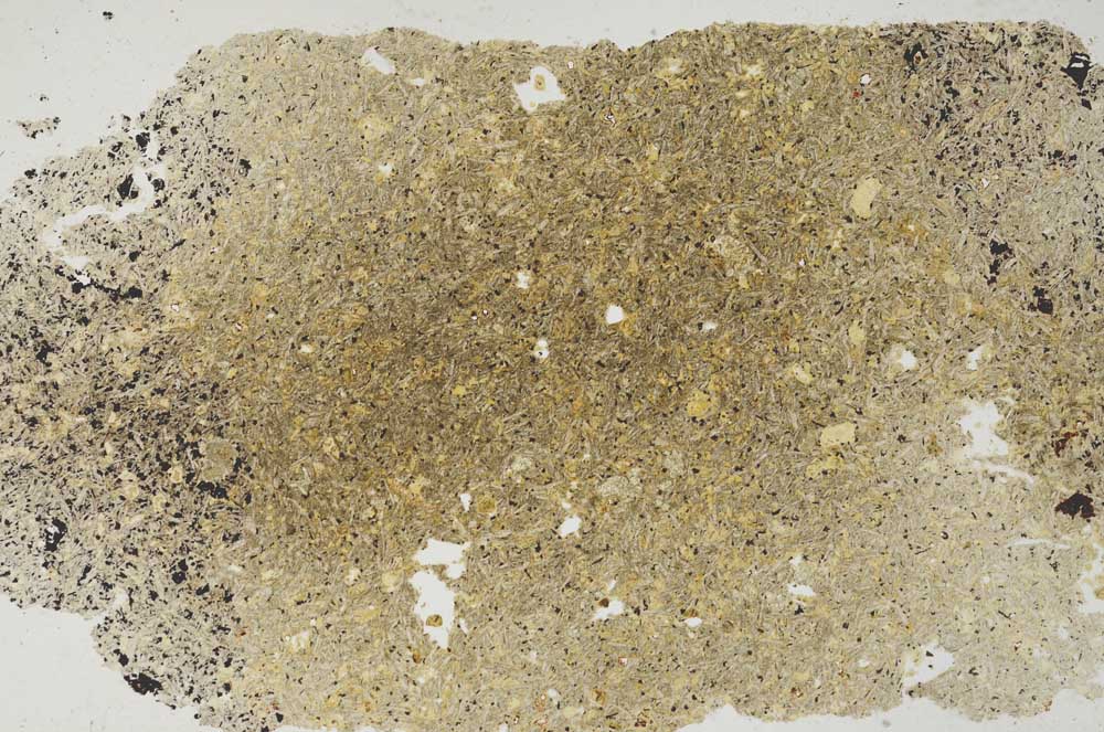 Plane Polarized, S8490