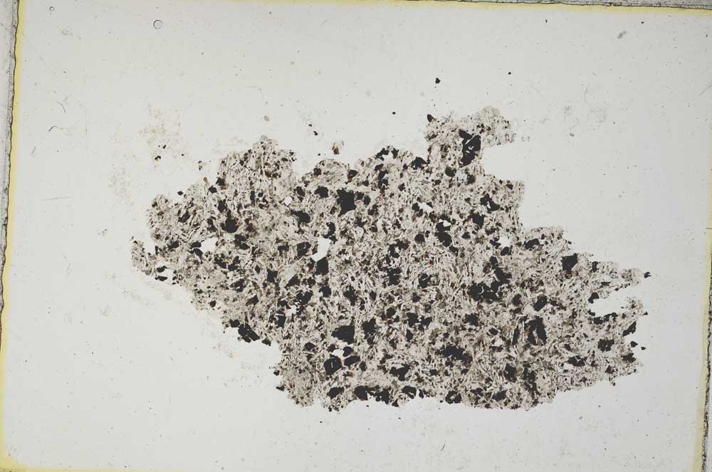 Plane Polarized, S8493