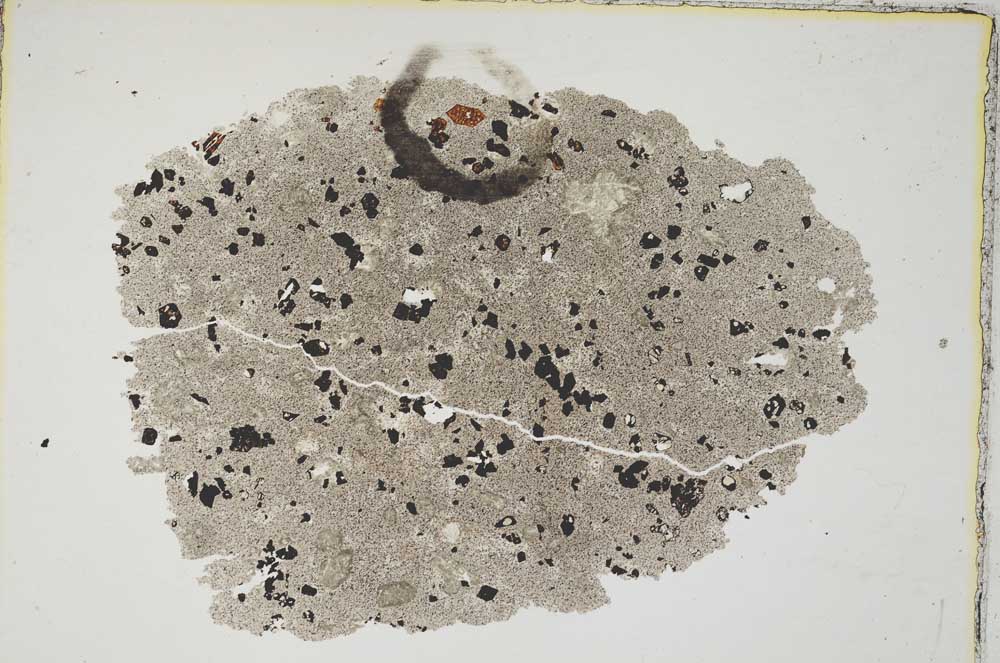 Plane Polarized, S8494