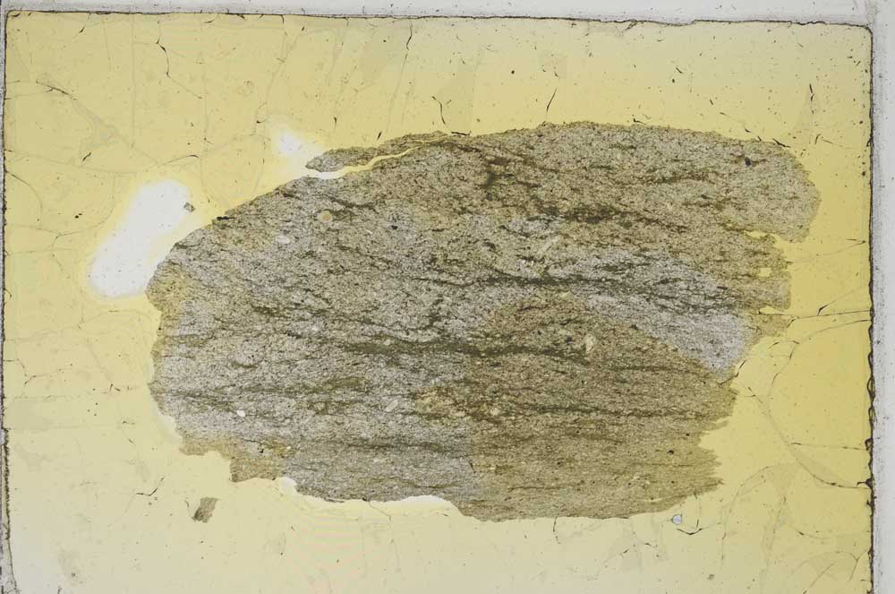 Plane Polarized, S8527