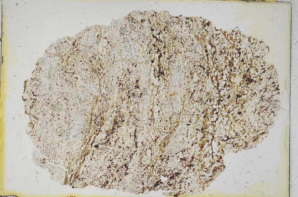 Plane Polarized, S8556